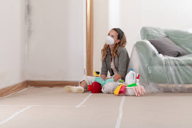 Reliable Mold Removal contractor in Jefferson, NC by WQB Mold Removal